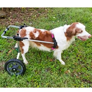 K9 Carts Dog Wheelchair (Medium) - Made in The USA