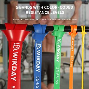 WIKDAY Resistance Bands, Pull Up Bands, Workout Bands for Exercise, Thick Heavy Resistance Band Set with Door Anchor, Elastic Bands for Body Stretching, Crossfit Training at Home/Gym for Men & Women