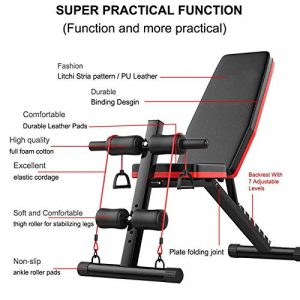 Zeyacaif Adjustable Weight Bench Roman Chair - Utility Strength Training Bench for Full All-in-One Body Workout, Adjustable Ab Sit up Bench, Decline Flat Bench with Fast Folding