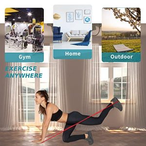 Resistance Band, Pull Up Bands, Pull Up Assistance Bands, Workout Bands, Exercise Bands, Resistance Bands Set for Legs, Working Out, Muscle Training, Physical Therapy, Shape Body, Men and Women