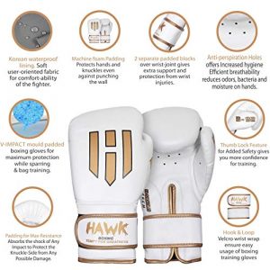 Hawk Boxing Gloves for Men & Women Training Pro Punching Heavy Bag Mitts MMA Muay Thai Sparring Kickboxing Gloves (White, 16 oz)