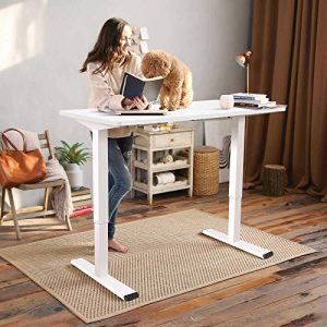 FLEXISPOT EC1 Electric White Standing Desk Adjustable Height Desk, 48 x 30 Inches Whole Piece Board Sit Stand Desk Home Office Workstation Stand up Desk (White Frame + 48 in White Top)