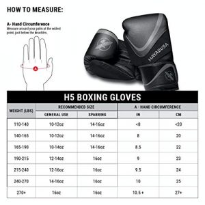 Hayabusa H5 Boxing Gloves for Men and Women - Black/Gold, 16 oz