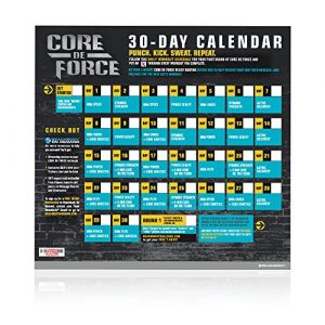 Beachbody CORE DE FORCE Base Kit DVD Workout Program, MMA Inspired Kickboxing Workouts for Men and Women, Easy To Follow Exercies Videos, Zero Equipment Required