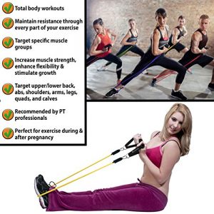 Exercise Bands for Working Out Arms, Legs and Butt – Resistance Bands with Handles for Women, Men – Physical Therapy, Fitness - 5 Bands, 2 Handles, Ankle Straps, Door Anchor, Premium Workout Guide