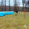 Lord Anson™ Dog Agility Set - Dog Agility Equipment - 1 Dog Tunnel, 6 Weave Poles, 1 Dog Agility Jump - Canine Agility Set for Dog Training, Obedience, Rehabilitation