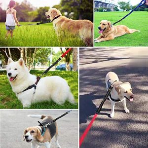 Bungee Dog Leash Extension Attachment, 18” Shock Absorbing Lead Extension Absorber, Prevent Injury on Arm and Shoulder & Save Dogs from Getting Hurt, Great for Bicycle, Running, Walking
