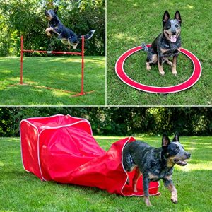 SPORT PET Designs Agility Training for Dogs - Affordable Training Kit for Dogs, red (CM-10026-CS01)