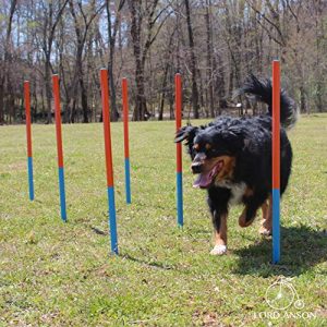 Lord Anson™ Dog Agility Set - Dog Agility Equipment - 1 Dog Tunnel, 6 Weave Poles, 1 Dog Agility Jump - Canine Agility Set for Dog Training, Obedience, Rehabilitation