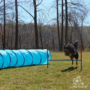 Lord Anson™ Dog Agility Set - Dog Agility Equipment - 1 Dog Tunnel, 6 Weave Poles, 1 Dog Agility Jump - Canine Agility Set for Dog Training, Obedience, Rehabilitation