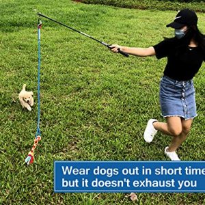 Interactive Flirt Pole Toy for Dogs Chase and Tug of War,Durable Teaser Wand with Pet Fleece Rope Tether Lure Toy to Outdoor Exercise & Training for Small Medium Large Dogs (Blue/Red, POLE-35 inches)