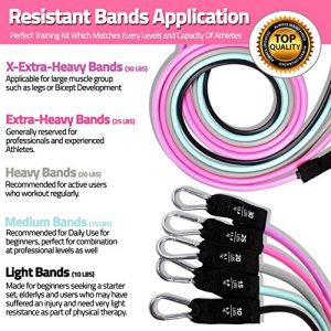 Resistance Bands with Handles - 11Piece Workout Band Set for Women - Carrying Bag Included – Non-Slip Work Out Booty Bands - Heavy Duty Fitness Bands for Butt Legs Exercise (Pink100lbs/gift Box)